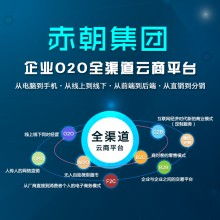 麗江軟件開發(fā)外包服務 連接古韻與數字未來的橋梁